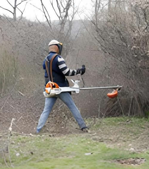 Servicios de desbroce imprescindibles en Madrid
