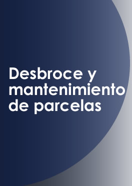 DESBROCE Y MANTENIMIENTO DE PARCELAS en Madrid