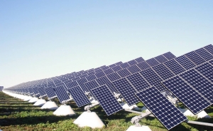 ¿Por qué elegirnos para desbroce de huertos solares?