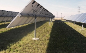 ¿Por qué se realiza desbroce en plantas solares?